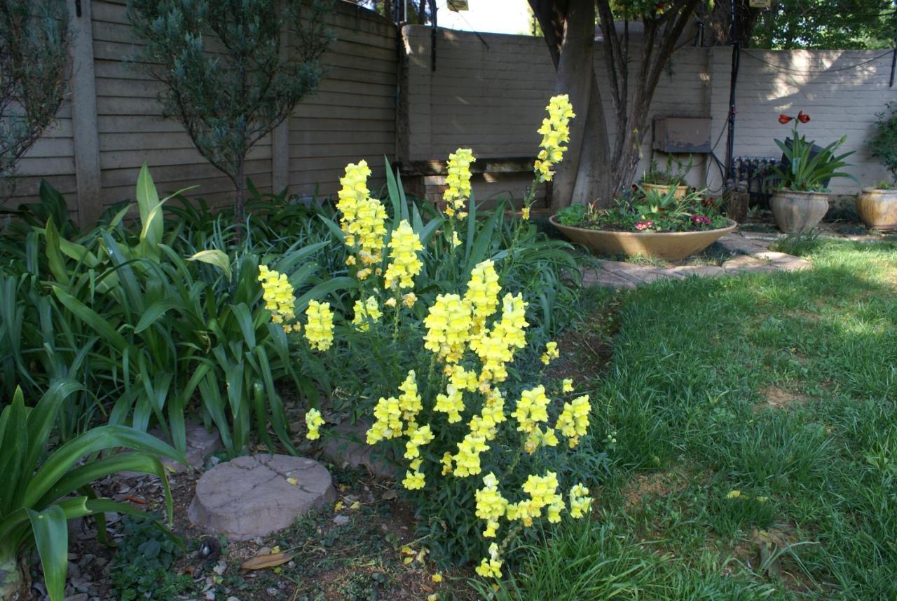 Flutterby Guesthouse Potchefstroom Exterior photo